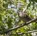 Earth Day Nature Trail Tour