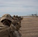U.S. Marines with 2nd Battalion, 6th Marine Regiment conduct Stability Operations for TalonEx/WTI 2-17