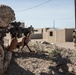 U.S. Marines with 2nd Battalion, 6th Marine Regiment conduct Stability Operations for TalonEx/WTI 2-17