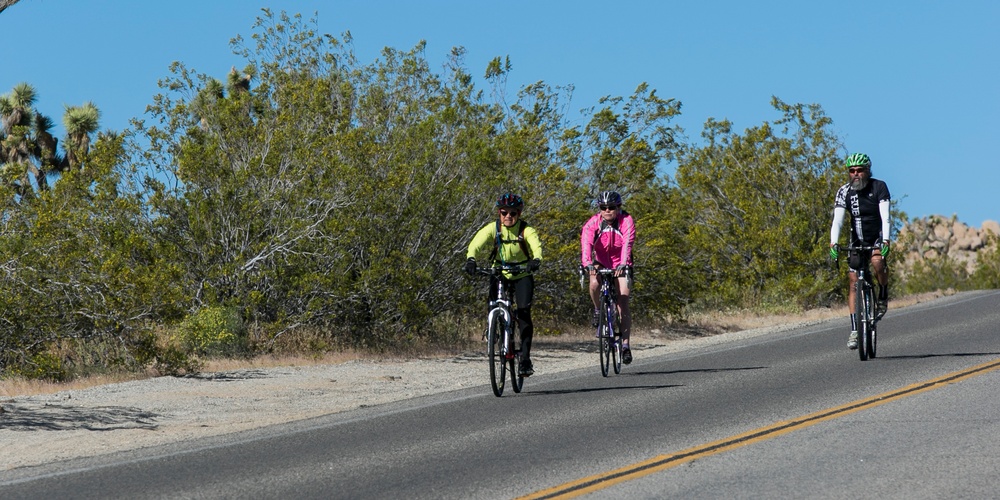 Riders cross Joshua Tree National Park in Park to Park Ride