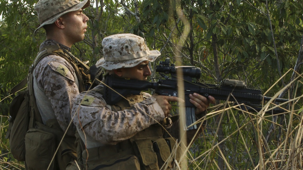 Apex Predator: Marines Prowl in the Wilderness