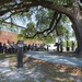 “Flying Tiger Oak” joins Live Oak Society