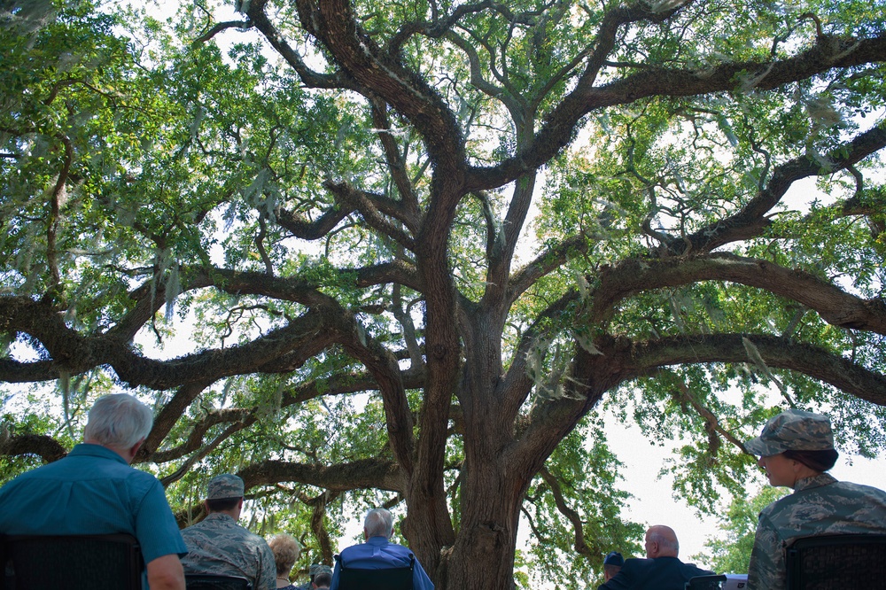 “Flying Tiger Oak” joins Live Oak Society
