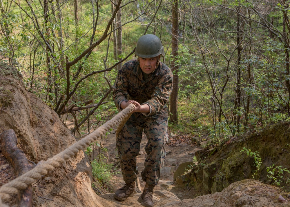 Marines with H&amp;S BN run the Endurance Course at Camp Barrett