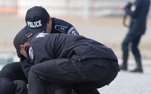 Gobi Wolf 2017 strengthens Mongolian partnerships