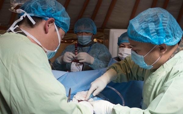 Gobi Wolf 2017 strengthens Mongolian partnerships