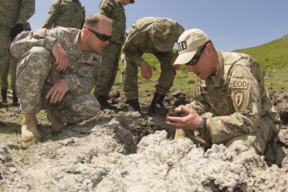 EOD Team Leader Inspects Shot Remains