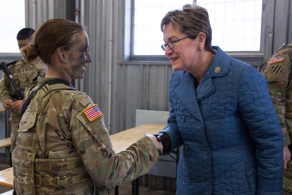 Combined Resolve VIII