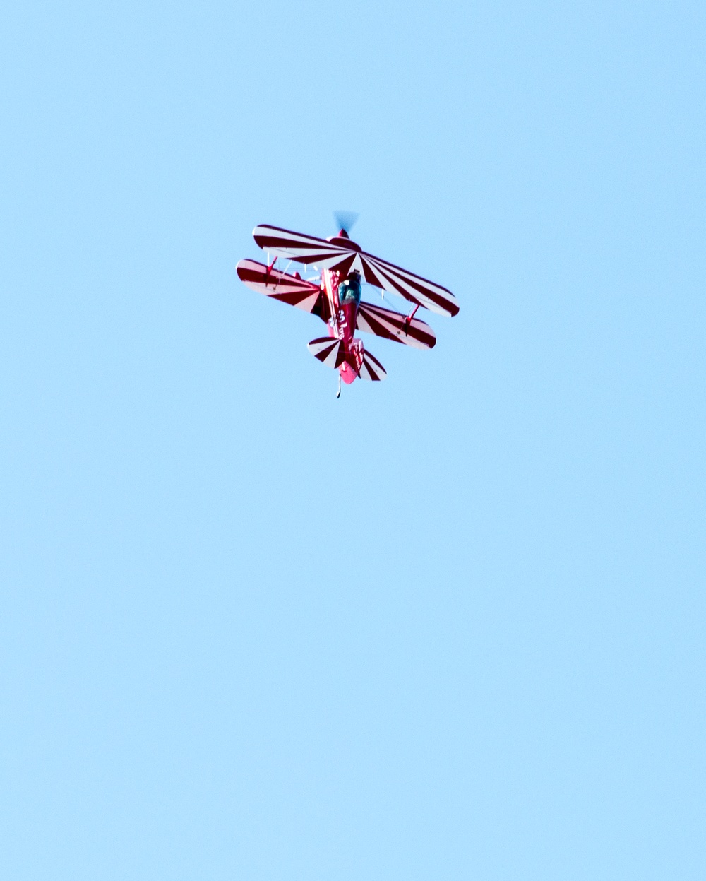 Wings Over Solano