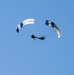 Wings Over Solano