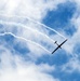 Wings Over Solano
