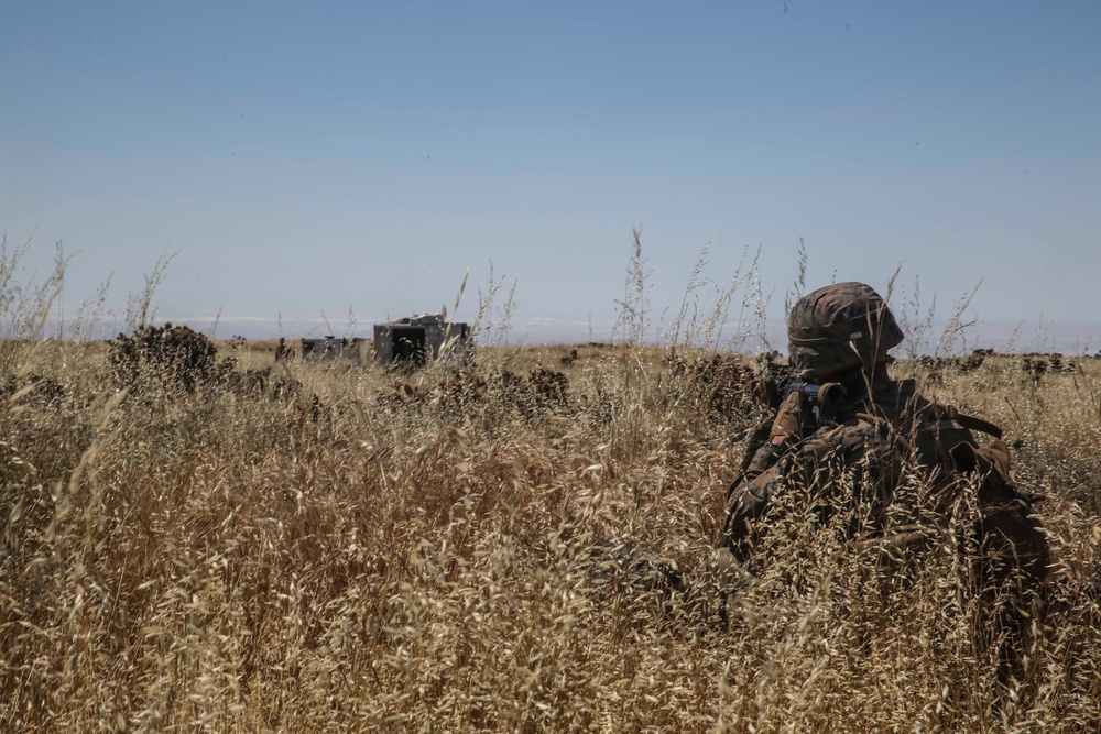 AMA ARG, 15th MEU conduct large-scale raid