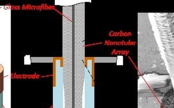 Bio-inspired: Crickets, bats inspire AFRL researchers to develop smart ‘hair’ sensors for flight