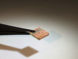 Bio-inspired:  Crickets, bats inspire AFRL researchers to develop smart ‘hair’ sensors for flight