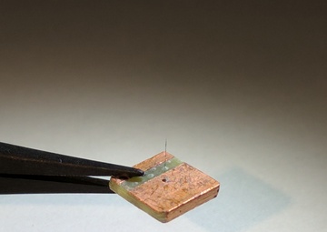 Bio-inspired: Crickets, bats inspire AFRL researchers to develop smart ‘hair’ sensors for flight