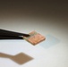 Bio-inspired:  Crickets, bats inspire AFRL researchers to develop smart ‘hair’ sensors for flight
