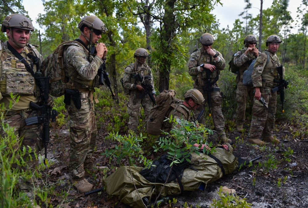 Into the brush with Operation Raven Claw