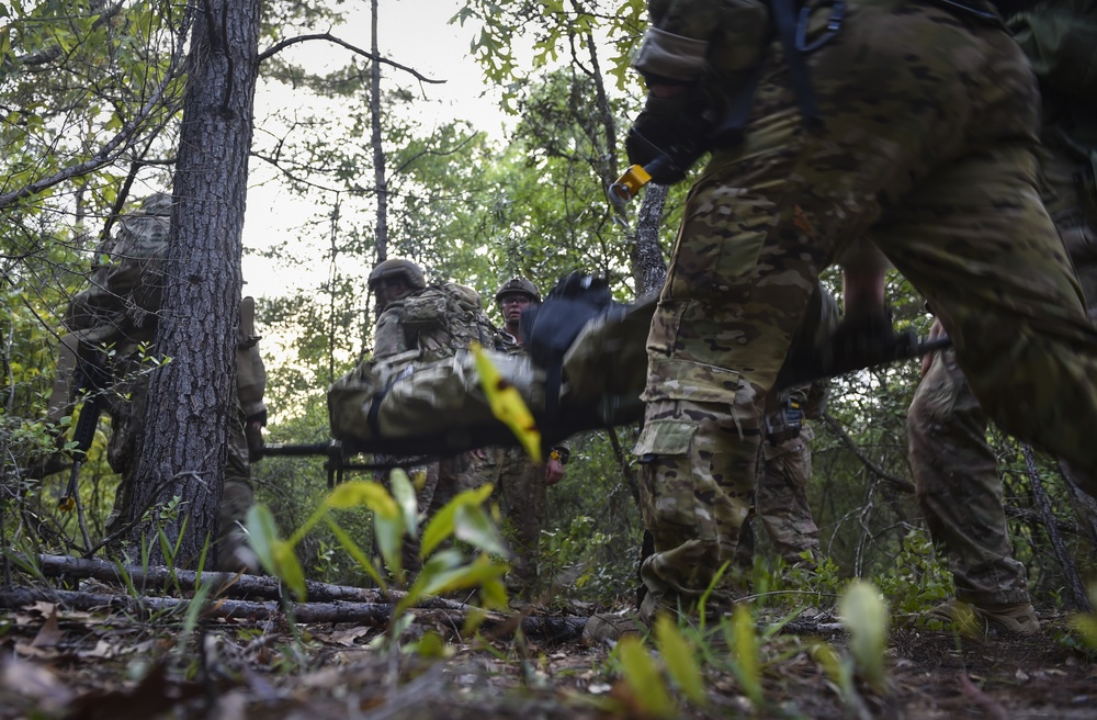 Into the brush with Operation Raven Claw