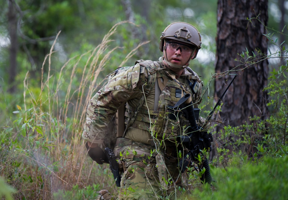 Into the brush with Operation Raven Claw