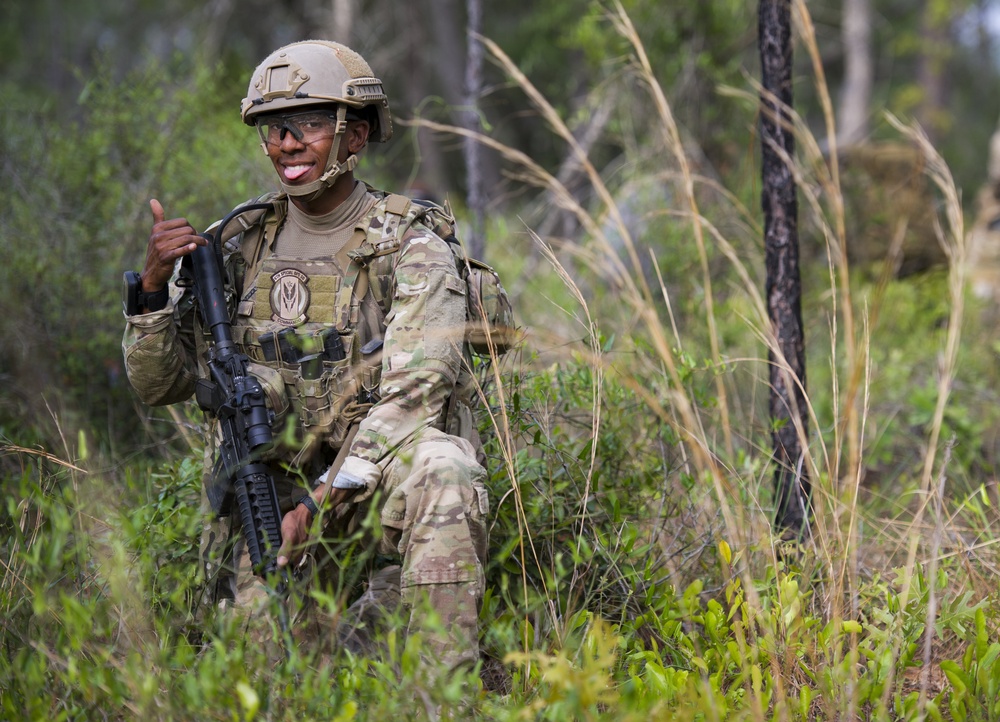 Into the brush with Operation Raven Claw