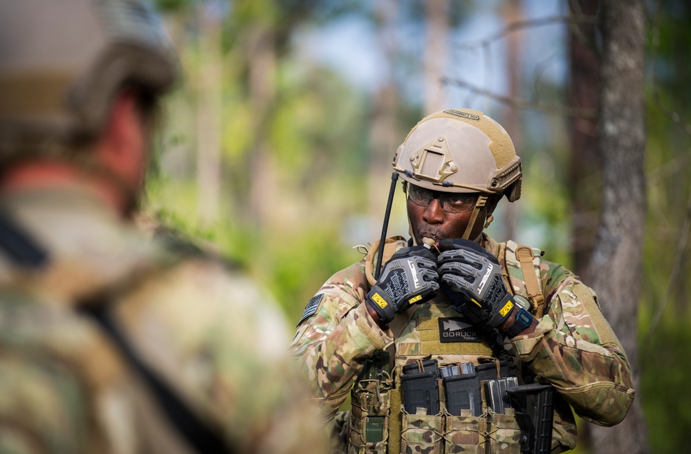 Into the brush with Operation Raven Claw