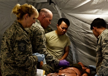 Guardian Response 2017