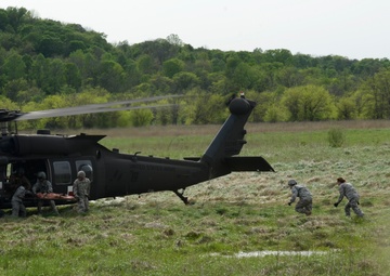 Guardian Response 2017