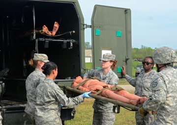 Guardian  Response 2017