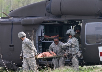 Guardian  Response 2017