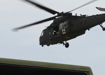 Guardian  Response 2017