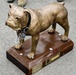 Little Rock Reserve team named “Top Dawg”