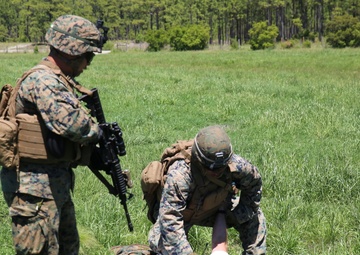 Mounted operations: 1/6 ready to roll