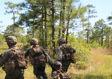 Mounted operations: 1/6 ready to roll