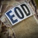 EOD warfighters display skills at Eglin