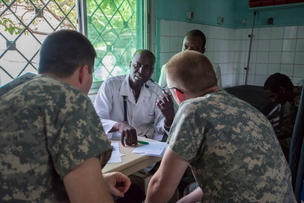 American, Chadian medical professionals partner to treat patients, hone skills