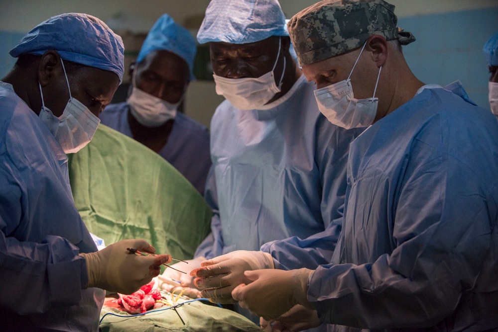 American, Chadian medical professionals partner to treat patients, hone skills