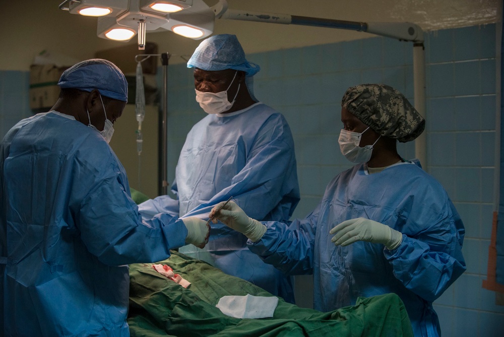 American, Chadian medical professionals partner to treat patients, hone skills