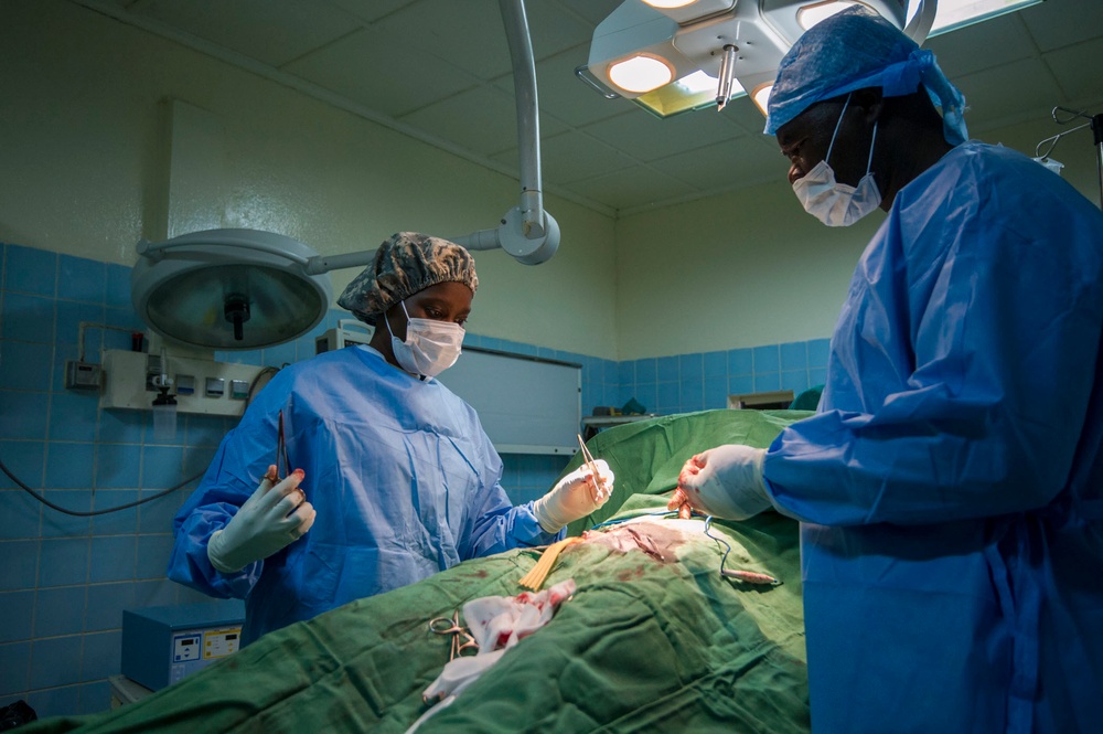 American, Chadian medical professionals partner to treat patients, hone skills