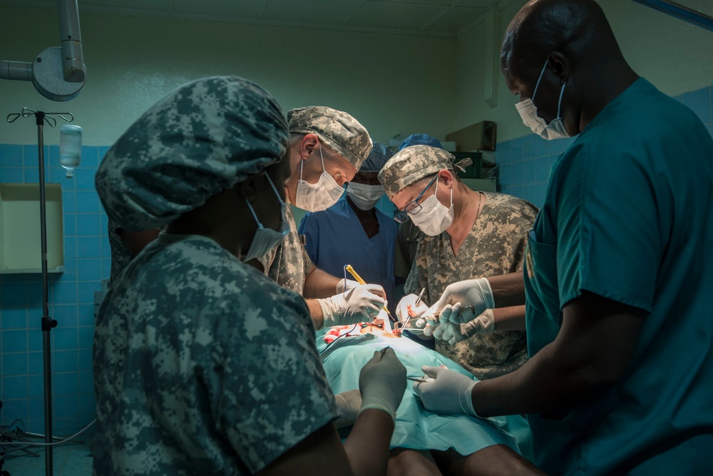 American, Chadian medical professionals partner to treat patients, hone skills