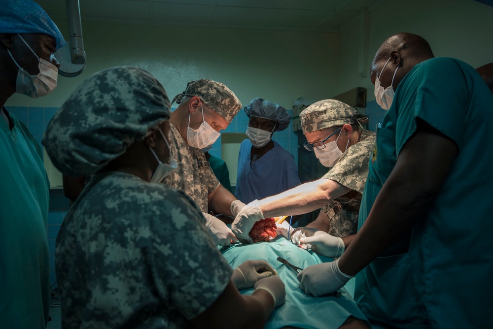 American, Chadian medical professionals partner to treat patients, hone skills