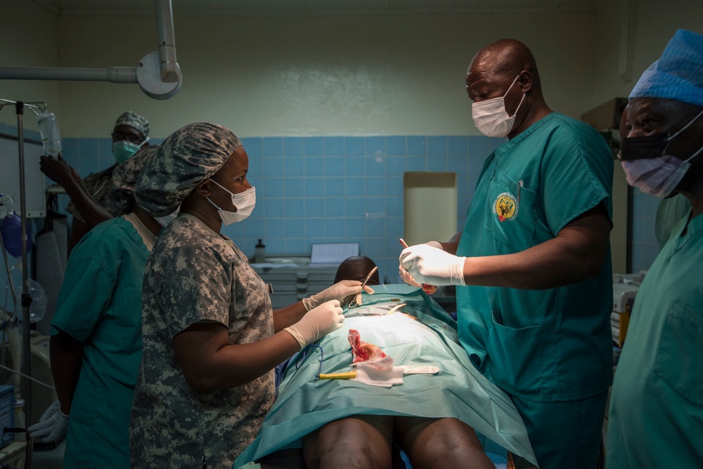 American, Chadian medical professionals partner to treat patients, hone skills