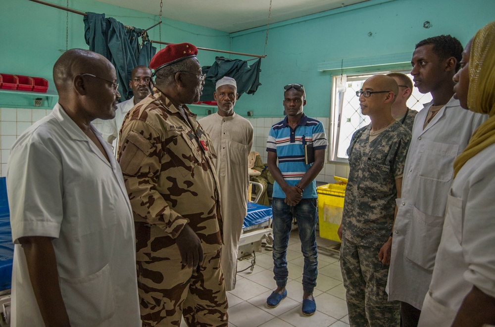 American, Chadian medical professionals partner to treat patients, hone skills