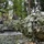Tank Challenge 2017