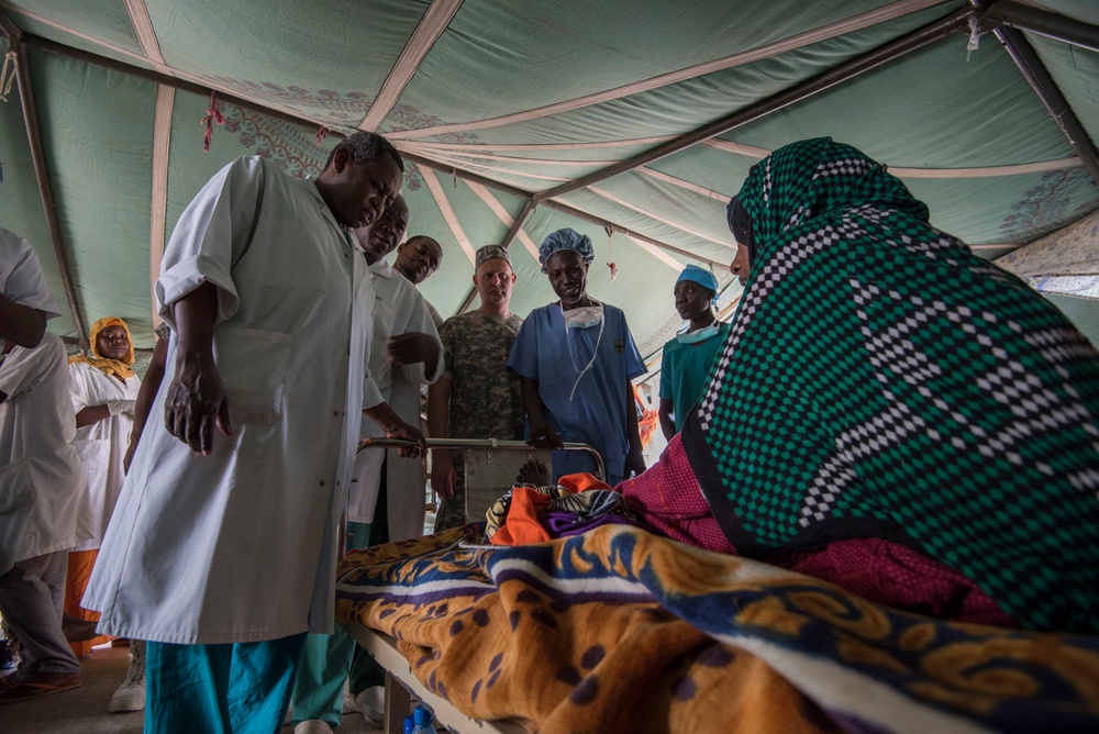 American, Chadian medical professionals partner to treat patients, hone skills