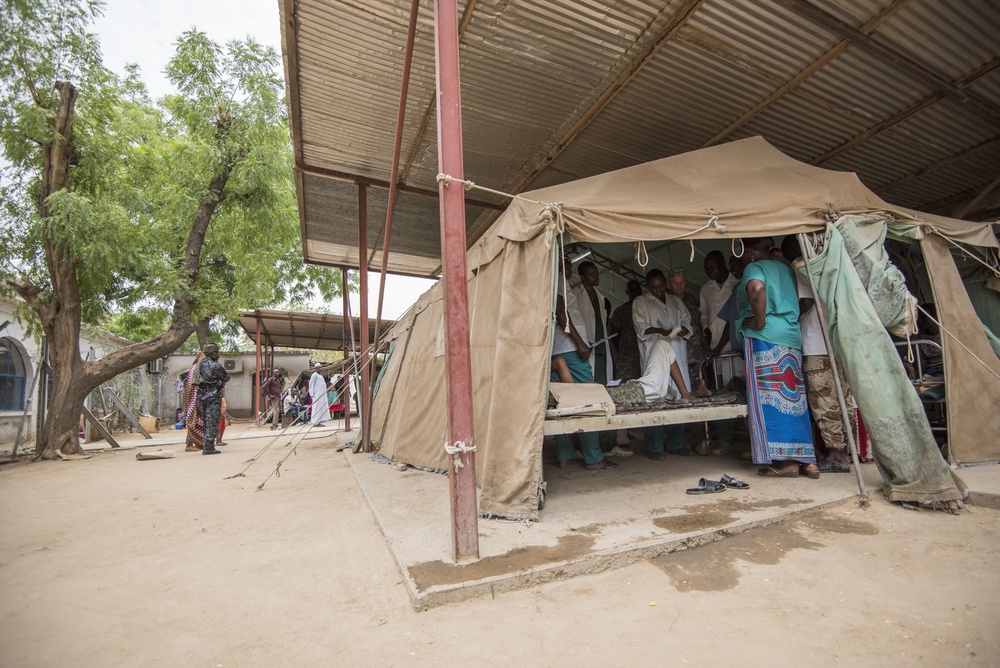 American, Chadian medical professionals partner to treat patients, hone skills