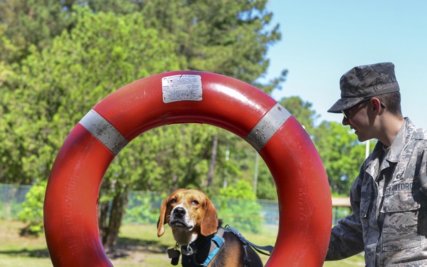 Surviving the storm: My journey to recovery