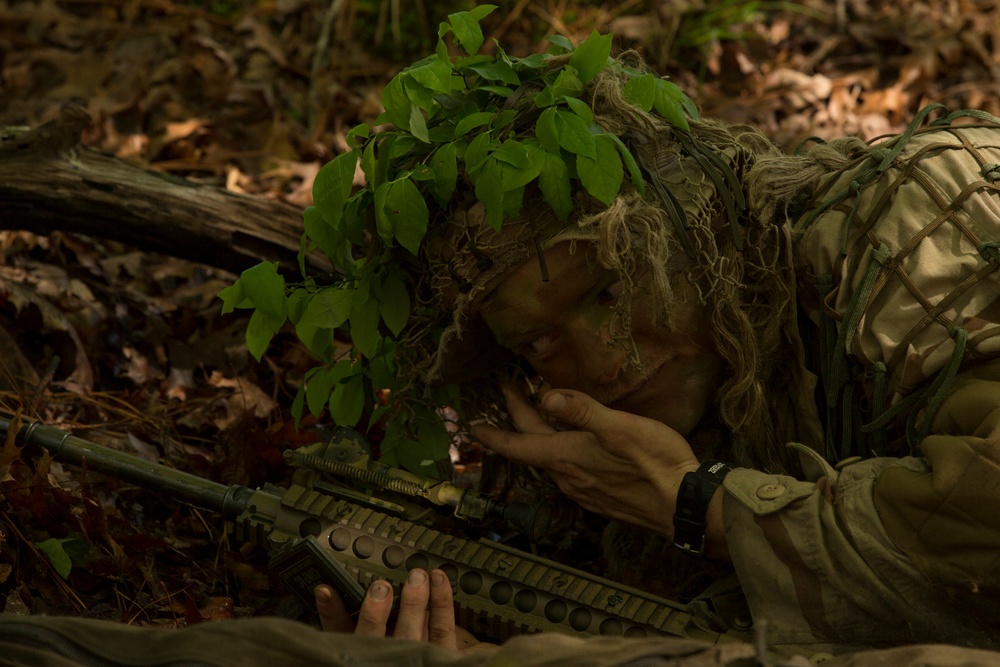 2/2 scout snipers conduct stalk training