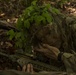 2/2 scout snipers conduct stalk training