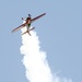 Wings Over Solano