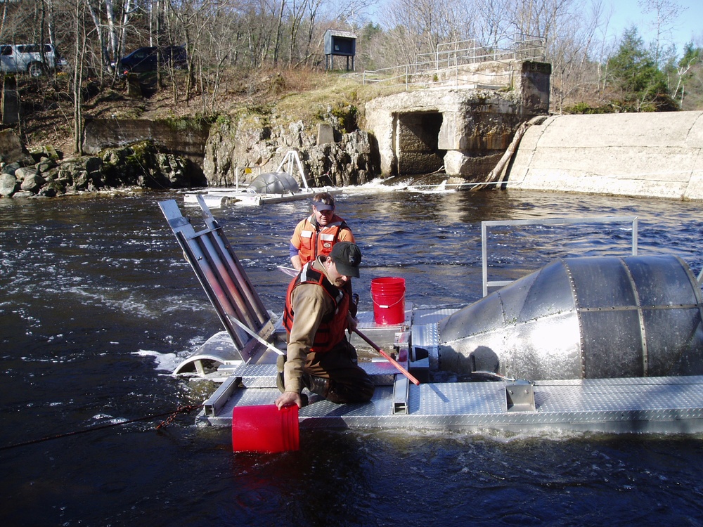 New conservation program proposed by state of Maine to protect endangered Atlantic salmon